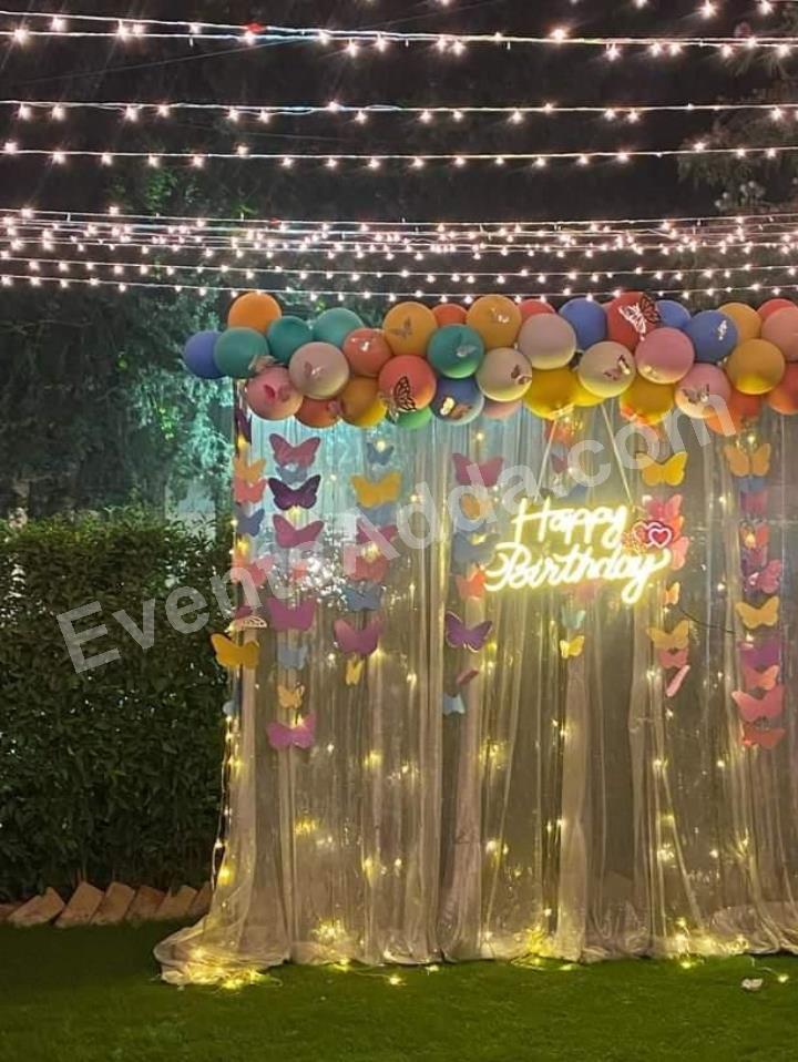 butterfly-fairy-light-birthday-decoration-3.jpg