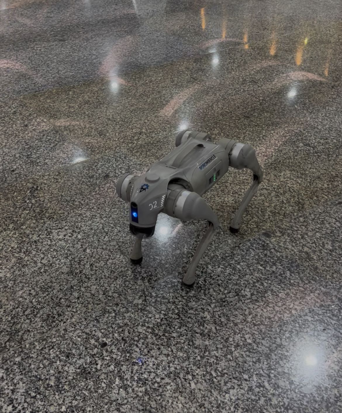 Robot Dog on rent for birthday wedding events